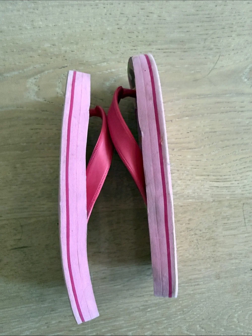 The Black Dog bright pink